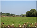 View northwards across farmland towards Alina Lough