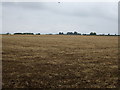 Farmland off Kirton Road