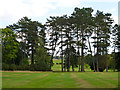 Pines, Denham Golf Club