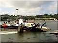 W7767 : Carrigaloe Ferry, on the River Lee, near Cork by Kenneth  Allen