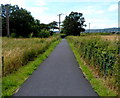 Festival Way approach Backwell Bow