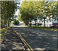 Tree-lined section of Frederick Street, Newport