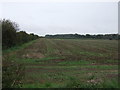 Farmland and hedgerow