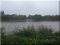 The River Trent near Susworth