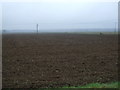 Farmland off East Ferry Road