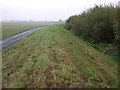 River Trent flood bank