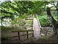 Footbridge over the Hassendean Burn