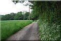 Footpath to Butcherfield Lane