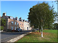 Houses on Sunnyside