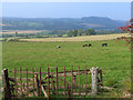 A view over Teviotdale