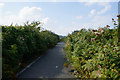 Wales  Coast Path towards Colwyn Bay