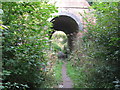 Chipstead:  Permissive path under the Tattenham Corner branch railway