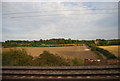 Track near Woodhall Farm