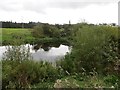 Union Canal, Tamfourhill