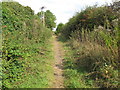 Bridleway from Scotsgrove Mill to Haddenham