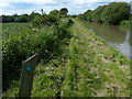 Towpath of the Oxford Canal