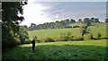 View towards Lanehouse Farm