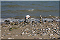 Stone balancing at Colwyn Bay