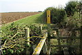 Footbridge over the stream