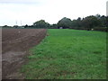 Farmland towards the River Trent, East Stockwith