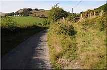 SH9670 : Country road near Llannefydd by Philip Halling