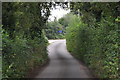 Mid Devon : Country Lane