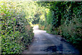 A very narrow and twisting Cornish lane.