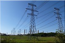 NZ3089 : Three rows of powerlines by DS Pugh