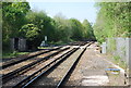 Crossing just north of Ockley Station