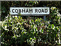 TM1942 : Cobhan Road sign by Geographer