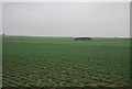 TL2634 : Prairie landscape by N Chadwick