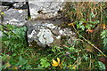 Benchmark on barn on north side of Townhead Lane