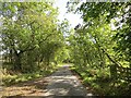 Minor road, Westmuir