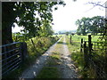 Footpath & track south of Warslow