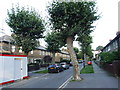 Kingfield Street, Cubitt Town