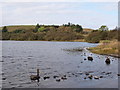 North end of Black Loch