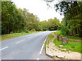 Looking east along Bourley Road from Sunny Hill Road