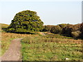 Reservoir path near Pow Hill