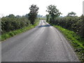 A winding section of Curran Road