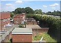 View from the Curly Bridge