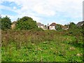 Site of Bolney Common