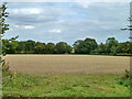 Stubble field east of Henham Road