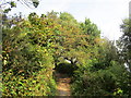 Autumn on the South West Coast Path