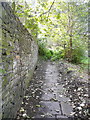 The footpath (Brighouse 103) from Delf Hill to Spout Hill