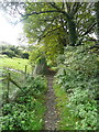 Footpath (Brighouse 103) from Delf Hill to Spout Hill