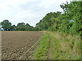 Footpath along field edge