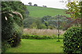 Mid Devon : Grassy Garden