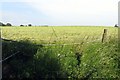 An arable field near Boarstall