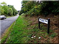 H6357 : Armalughey Road, Grange by Kenneth  Allen