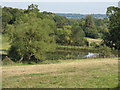 Pond near Parsonage Farm, Boxted